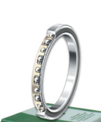 NA CSEG060 bearings